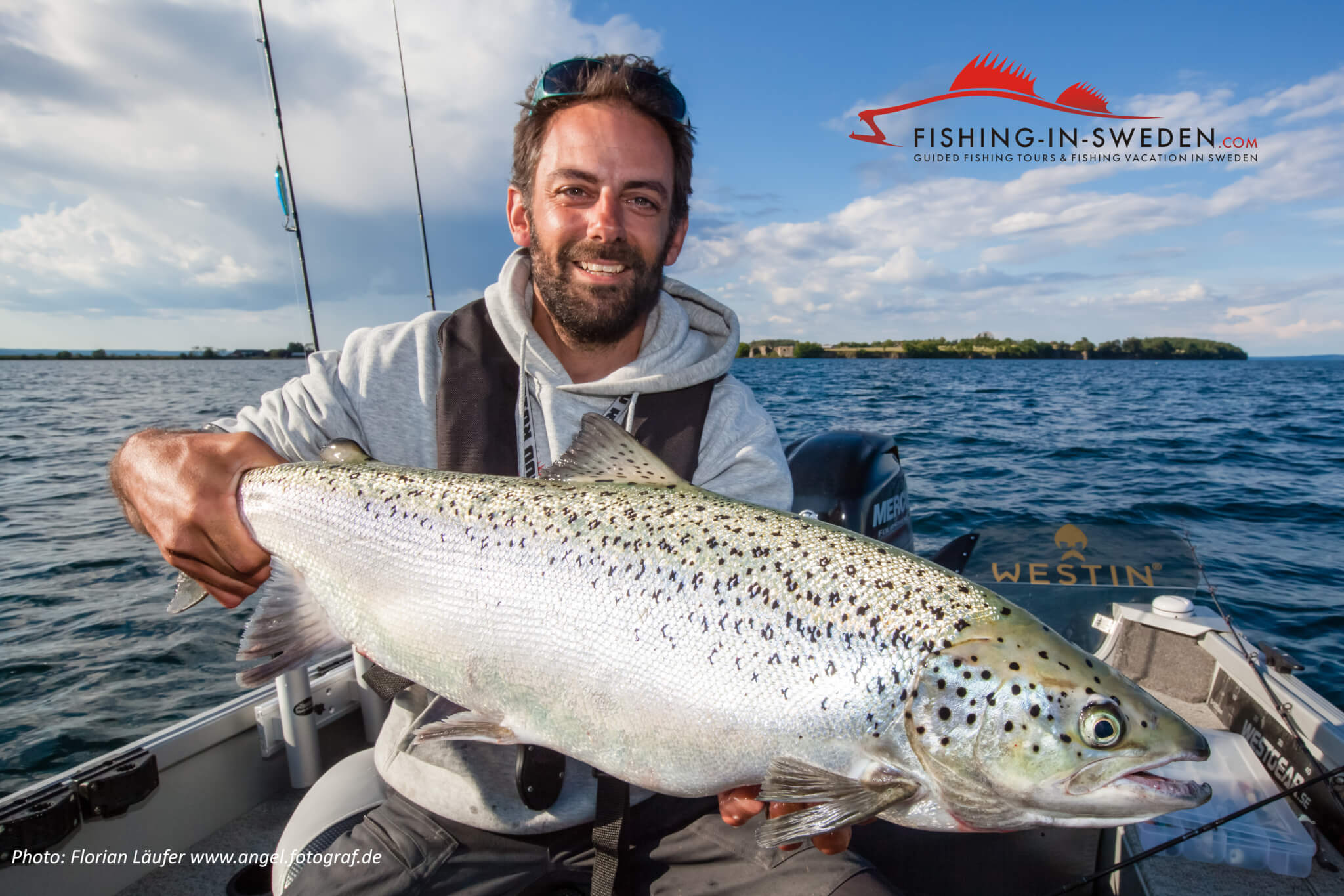 Big trout Sweden caught while fishing vertical in lake Vättern.